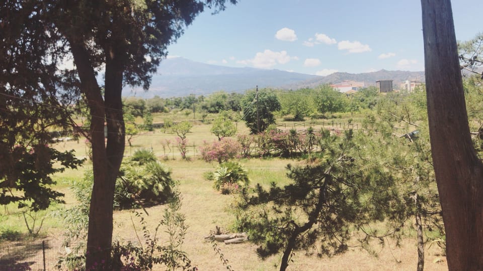 Standard Room | View from room