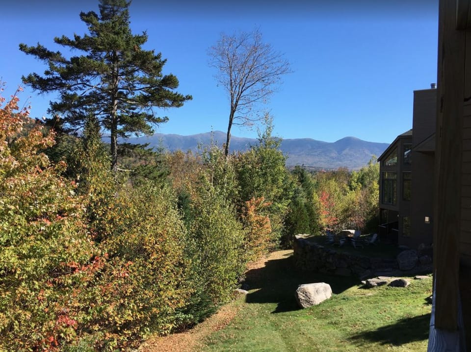 There's access to private decks with breathtaking Mt. Washington views and backyard space with a fire pit for cozy evenings under the stars