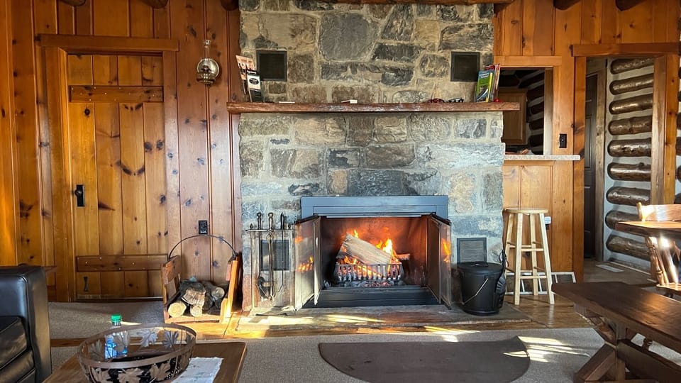 Wood burning fireplace