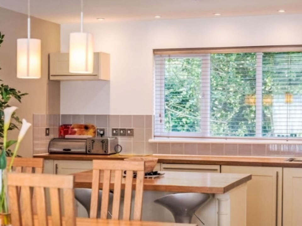Property, Furniture, Window, Wood, Table, Plant, Countertop, Interior Design, Architecture