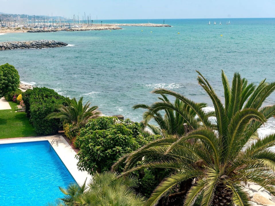 Vegetation, Palm Tree, Azure, Property, Tree, Sea, Turquoise, Tropics, Arecales, Ocean