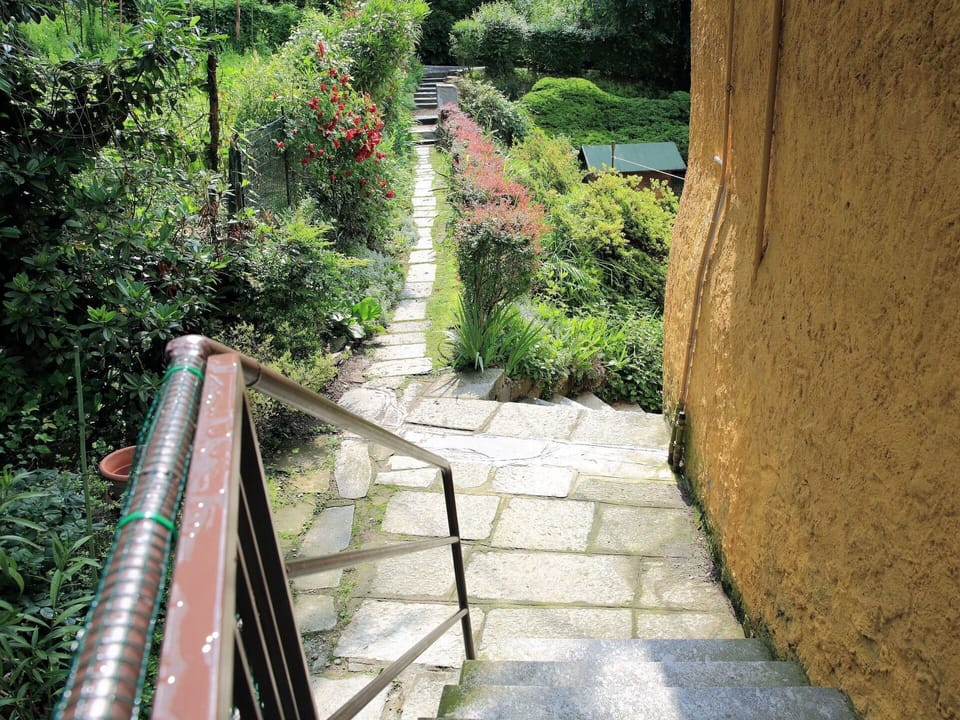 Botany, Walkway, Tree, Line, Garden, Plant, Architecture, Thoroughfare, Landscape, Nonbuilding Structure