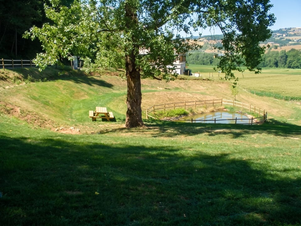 Areal view