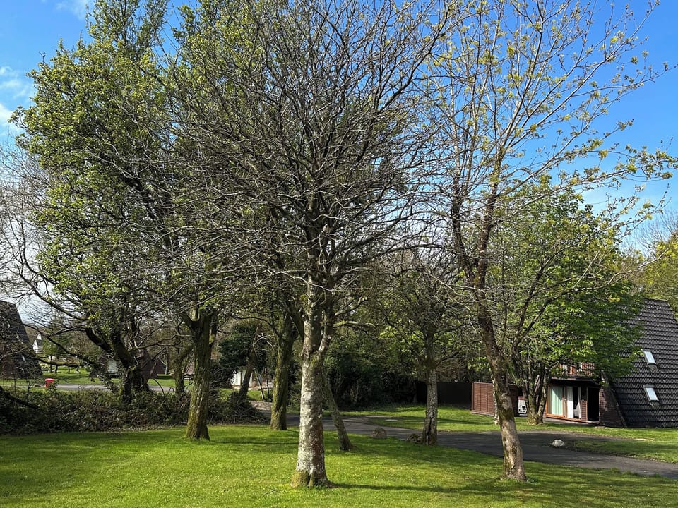 Cottage | Property grounds