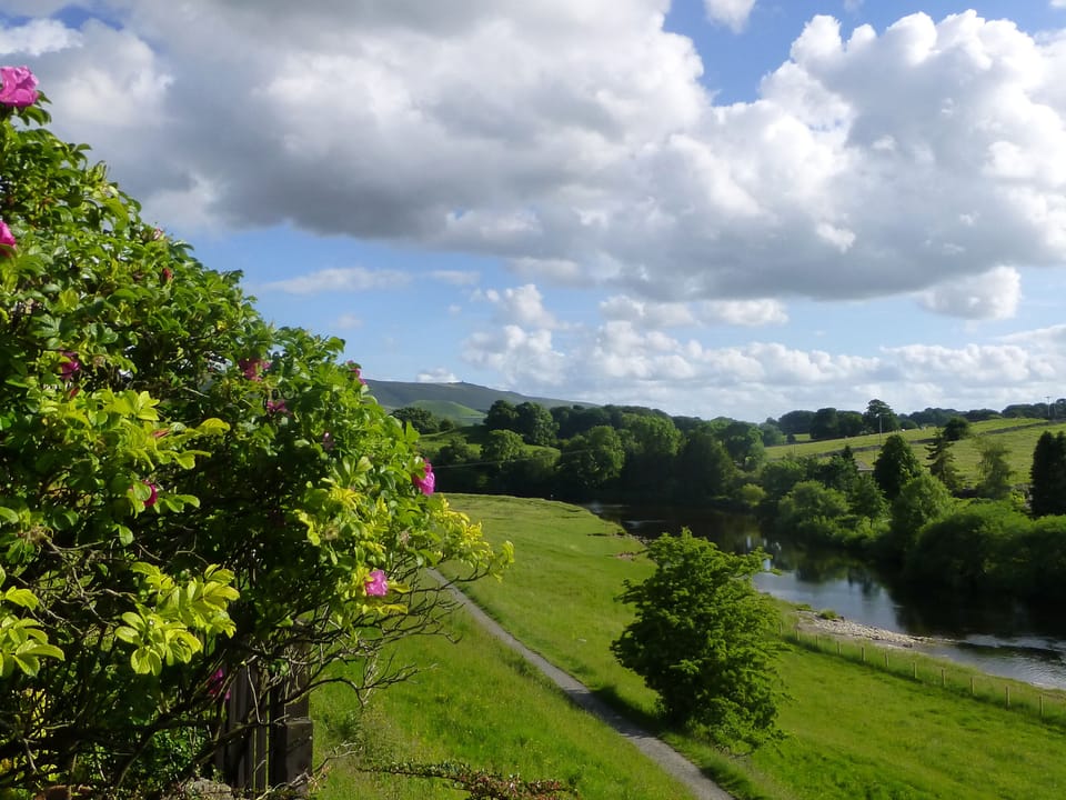 Cottage | Miscellaneous