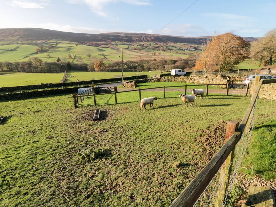 Cottage | Property grounds