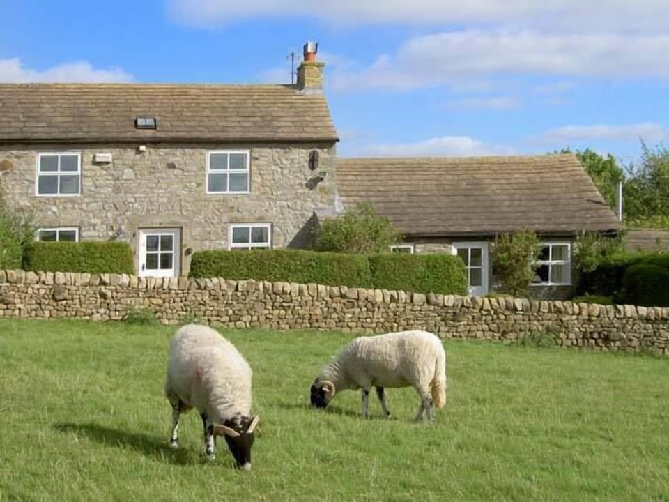 Cottage | Interior