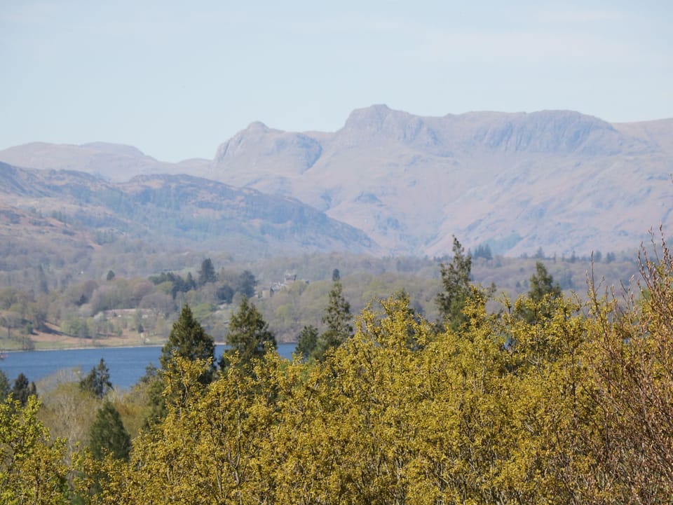 Cottage | Property grounds