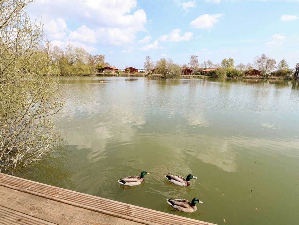 Cottage | Lake
