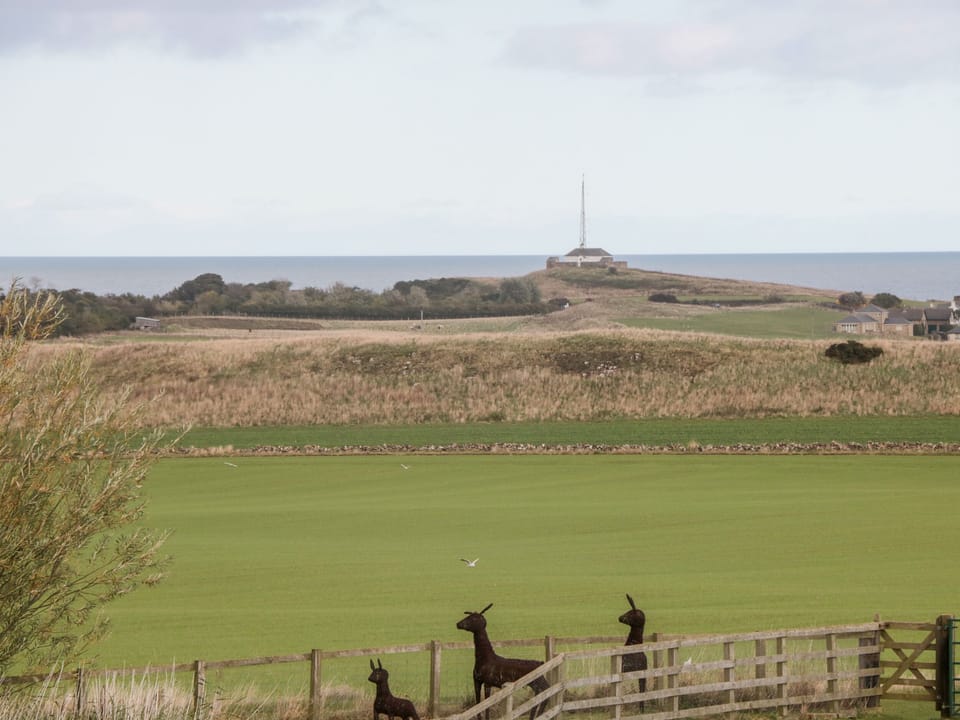Cottage | Golf