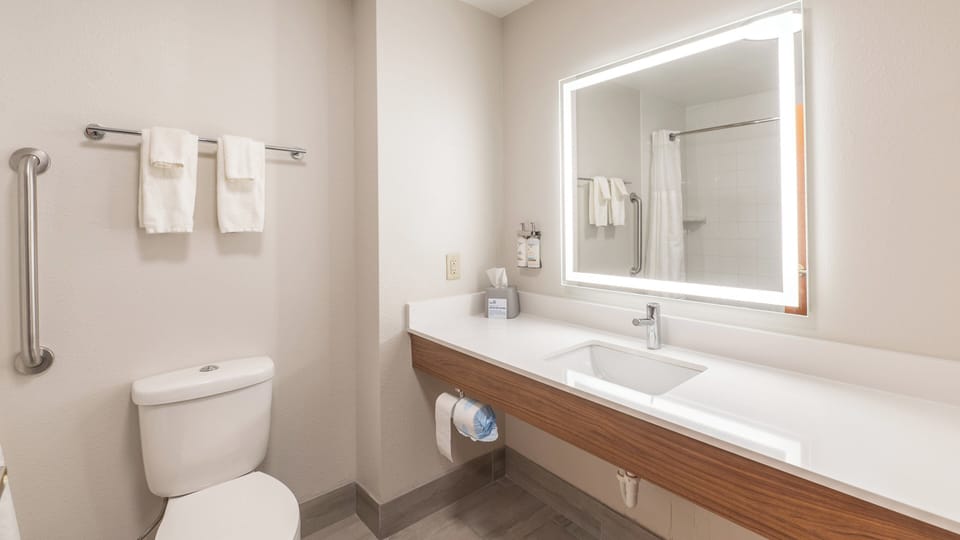 Combined shower/tub, free toiletries, hair dryer, towels