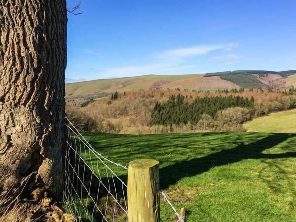 Cottage | Property grounds