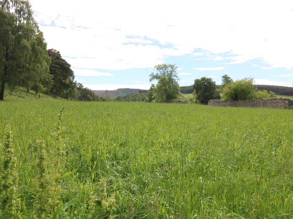 Cottage | Property grounds