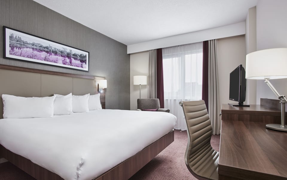 Executive Room, 1 King Bed | Desk, soundproofing, iron/ironing board, free WiFi