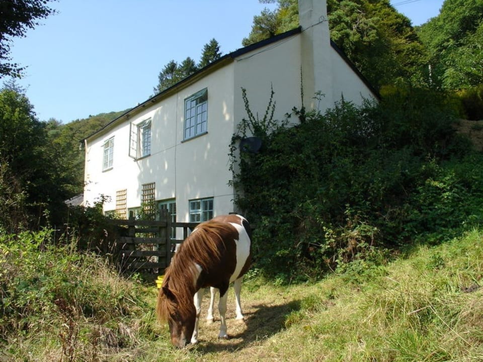Cottage | Interior