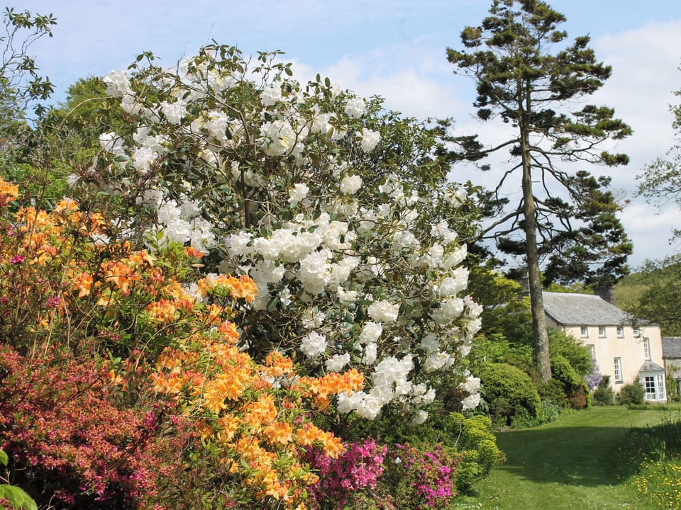 Cottage | Property grounds