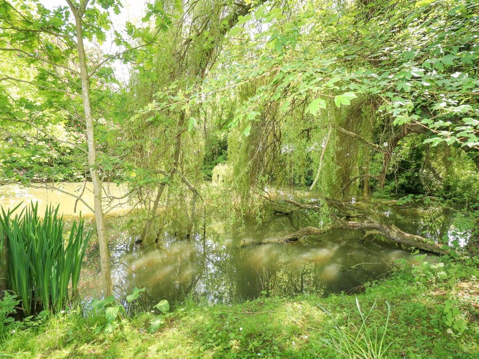 Cottage | Property grounds