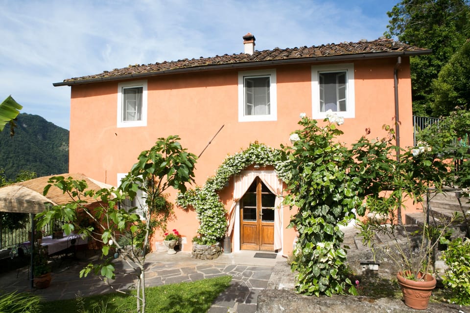 Lovely mature garden set in an olive grove