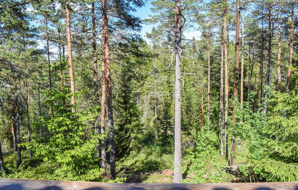 view-from-room