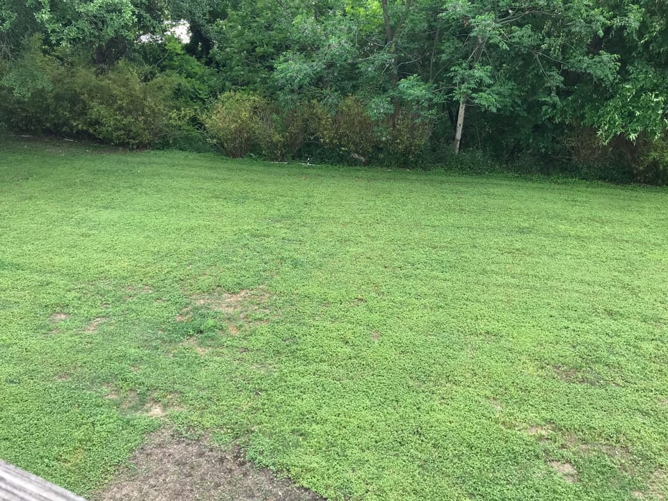 Back yard & view from small deck off master bedroom 