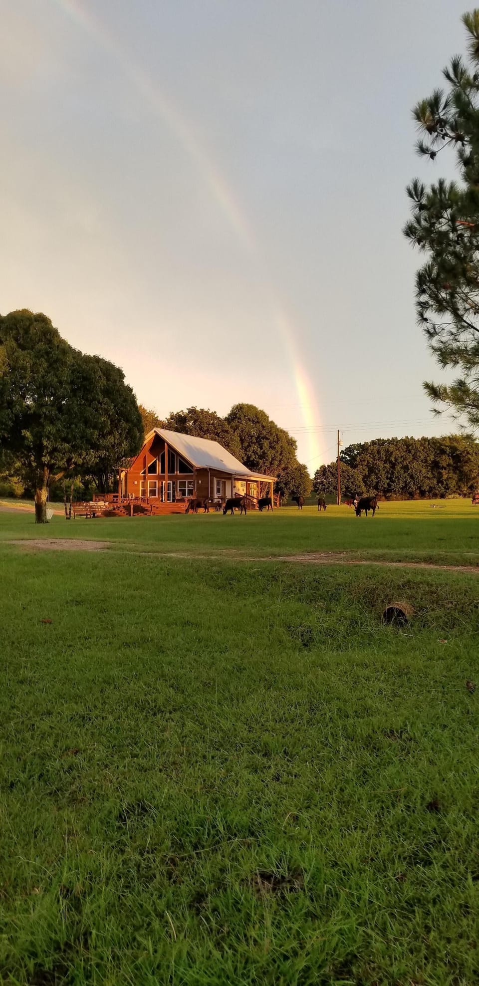Amazing rainbow! (Don’t worry, cows are not loose during guest stay).