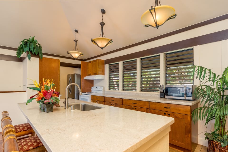 New kitchen cabinets and counters
