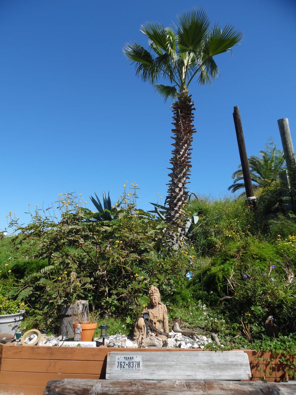 Behind the Coastal Quarters off street parking area