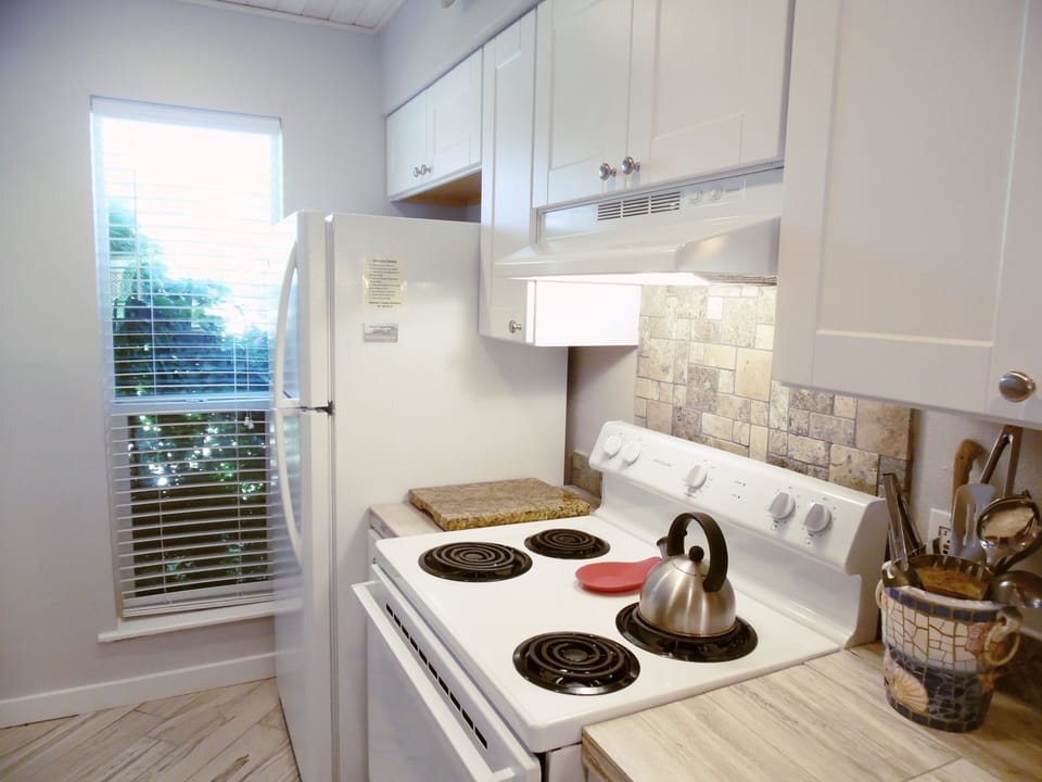 Electric stove/oven and large fridge/freezer