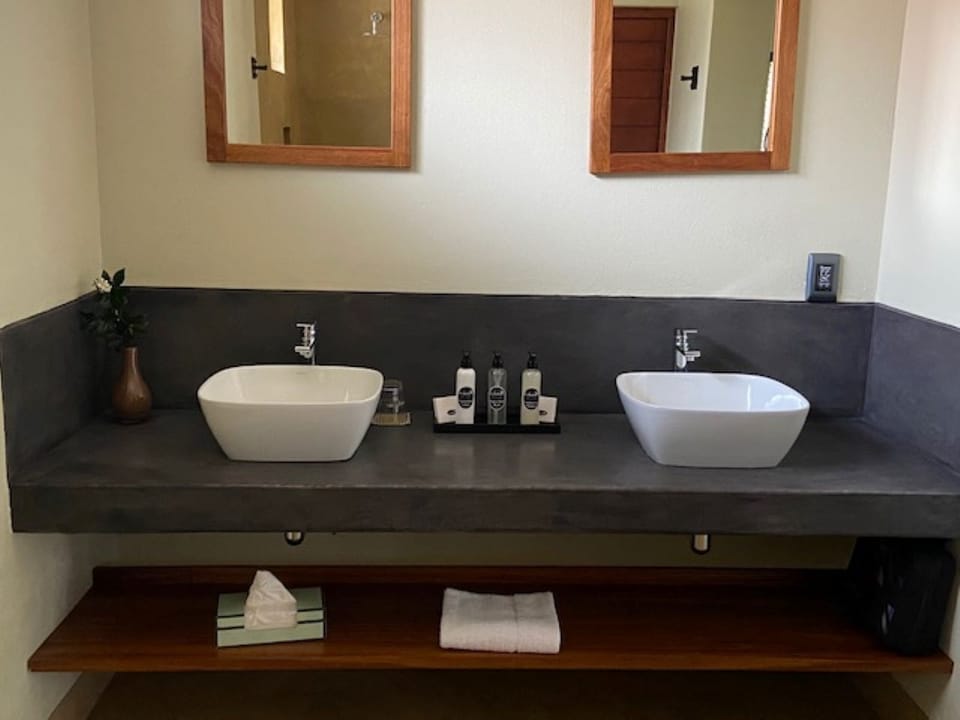 Deluxe Double Room | Bathroom | Hair dryer, towels, soap, shampoo