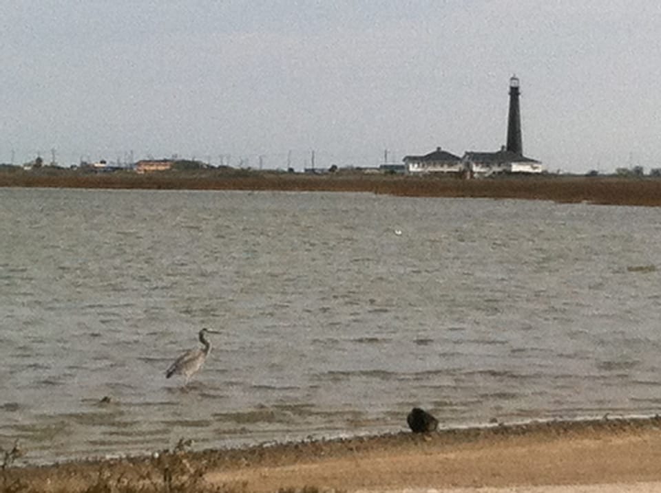 the view of the lighthouse from the beach nearby