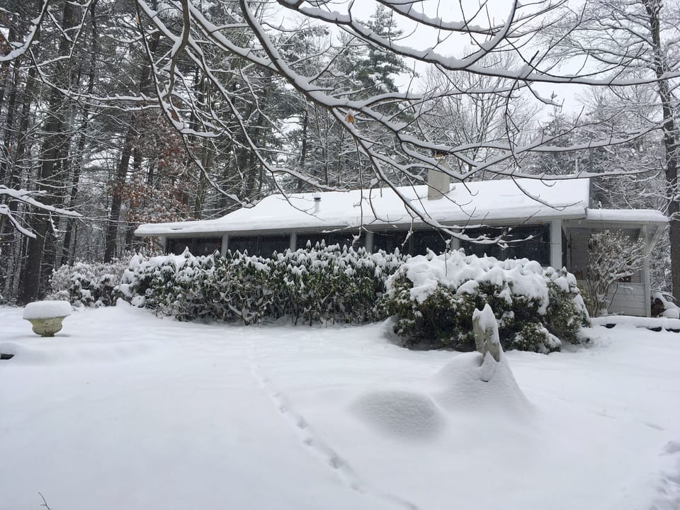 Snow Paradise!
