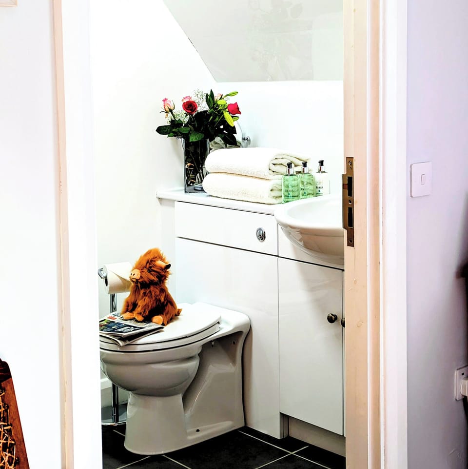 Standard Room | Bathroom | Shower, free toiletries, hair dryer, towels