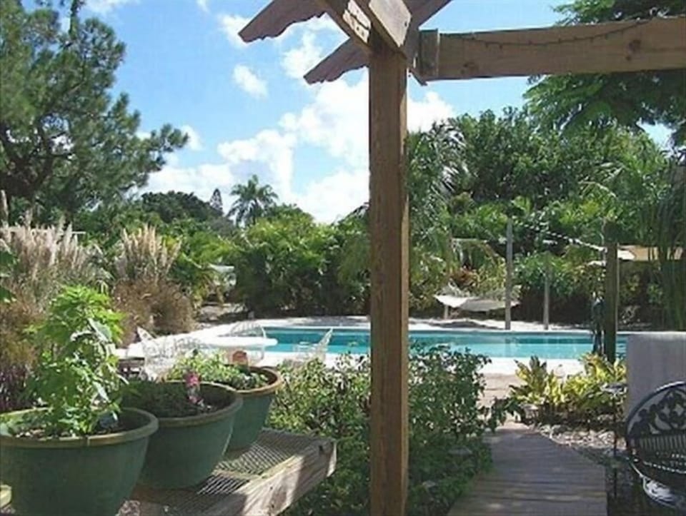 Your own private Jungle, clothing optional