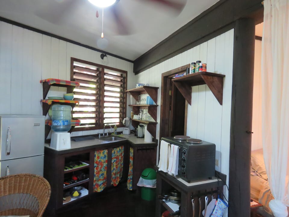 small but great working kitchen w 2 burner stove, oven, full fridge, blender etc