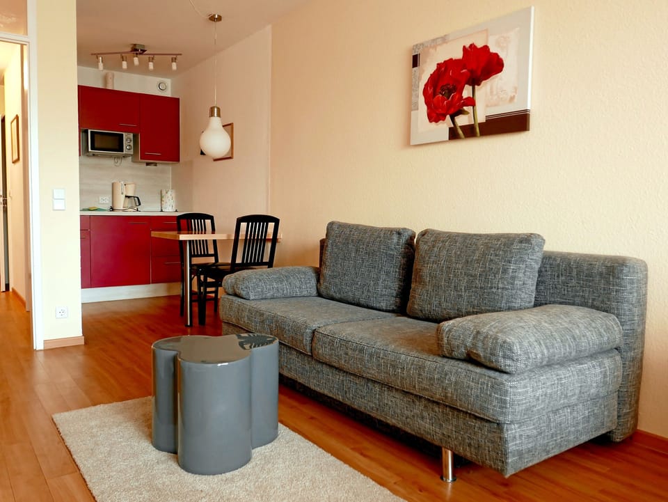 Apartment, 1 Bedroom, Non Smoking, Kitchenette | Living area | 107-cm flat-screen TV with cable channels, TV, DVD player
