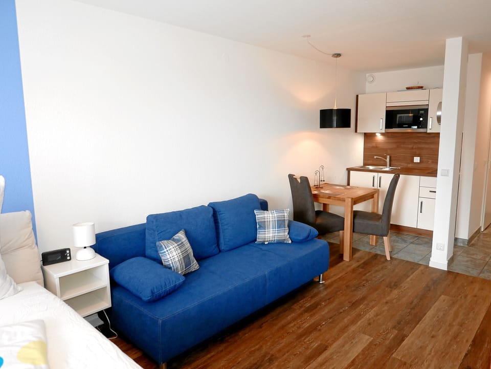 Basic Apartment, 1 Bedroom, Non Smoking, Kitchenette | Living area | 49-inch flat-screen TV with cable channels, TV, DVD player