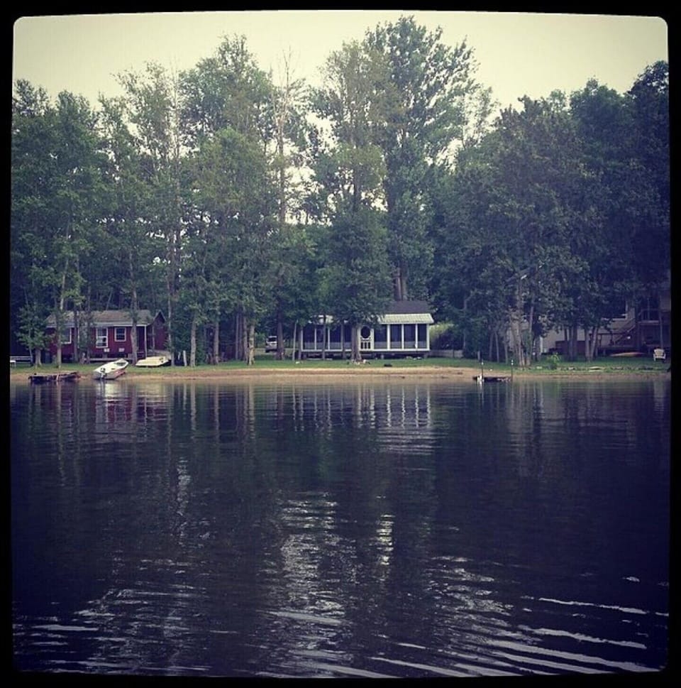 View of the cottage from the lake. It has the white roof and porch on the front.