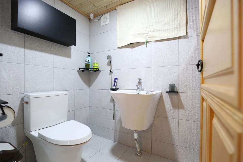 Shower, free toiletries, hair dryer, towels