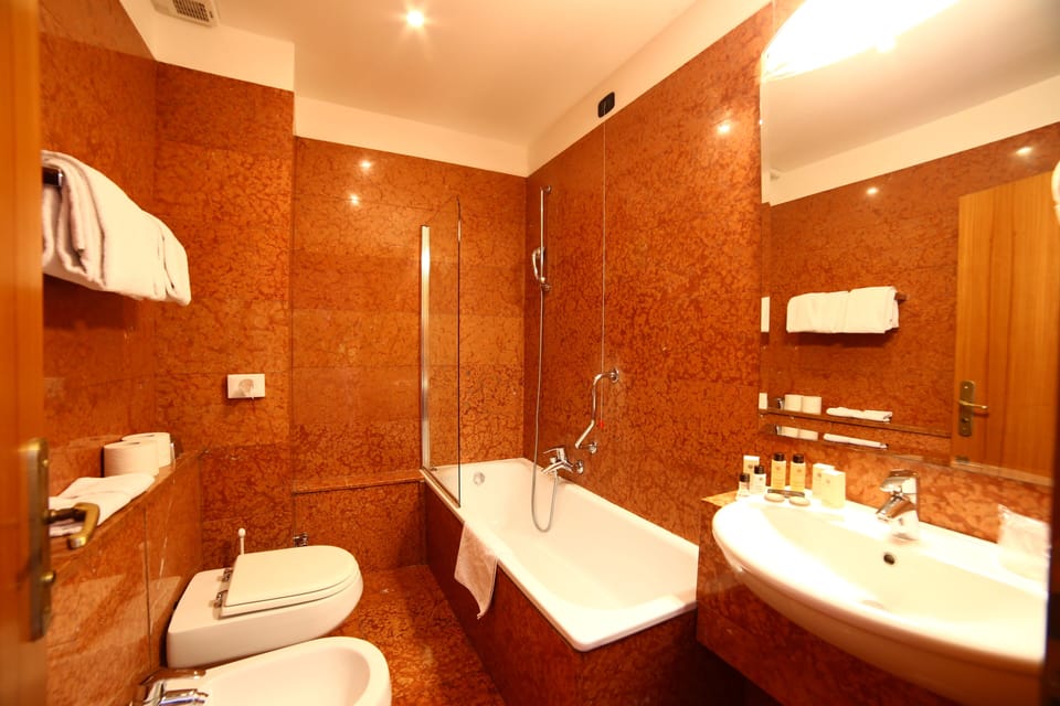 Combined shower/tub, hair dryer, bidet, towels