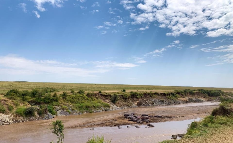 Narasha Guest House Bed and Breakfast in Kenya