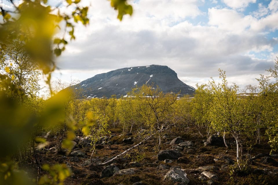 Hiking
