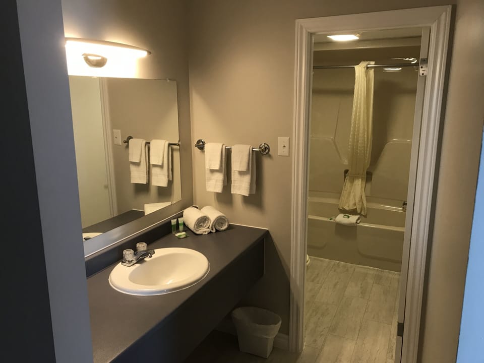Standard Suite, Multiple Beds | Bathroom | Free toiletries, hair dryer (on request)