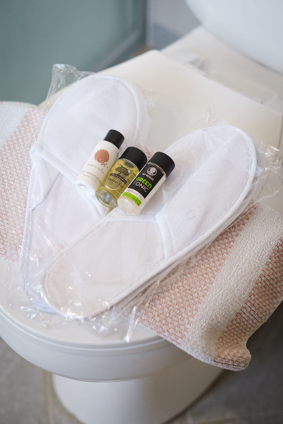 Shower, free toiletries, hair dryer, slippers