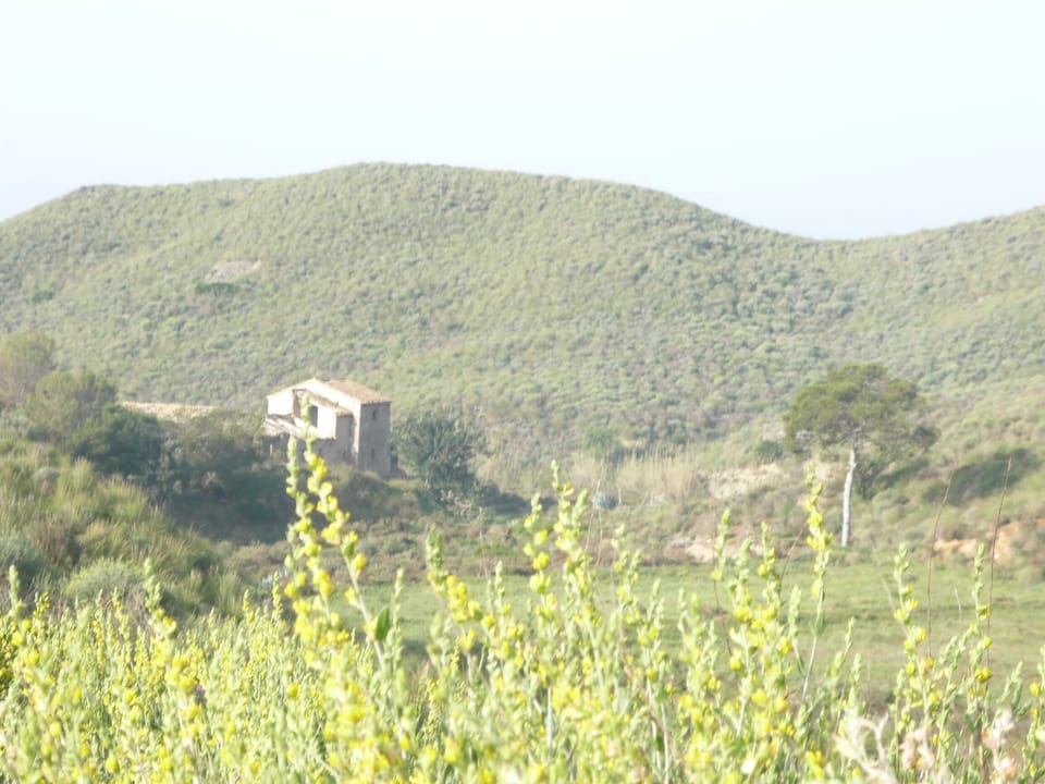 Plenty of nature within walking distance.
Take a nature walk in the house.