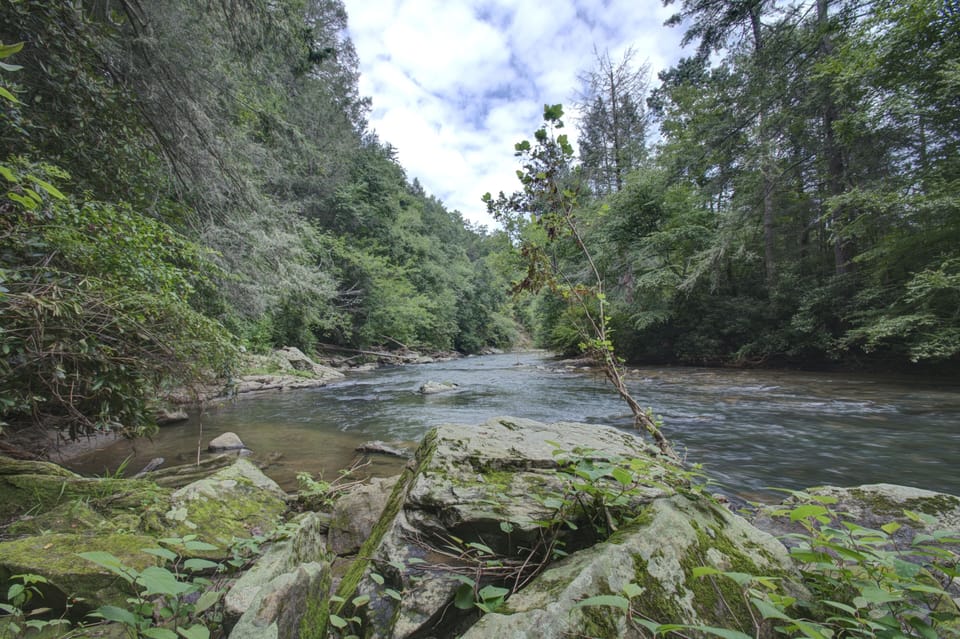 Downriver View