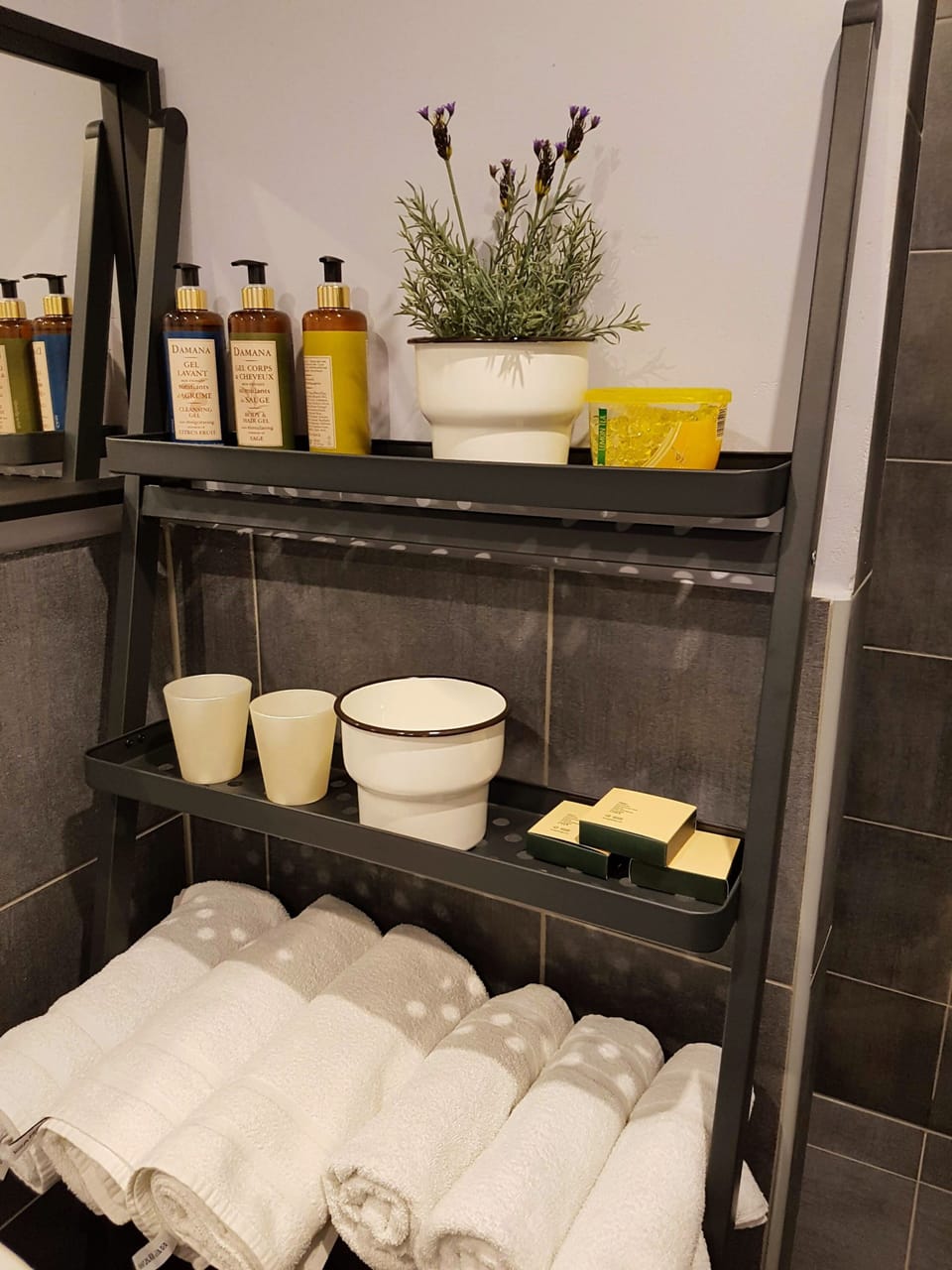 Family Room, Terrace | Bathroom | Shower, free toiletries, hair dryer, towels