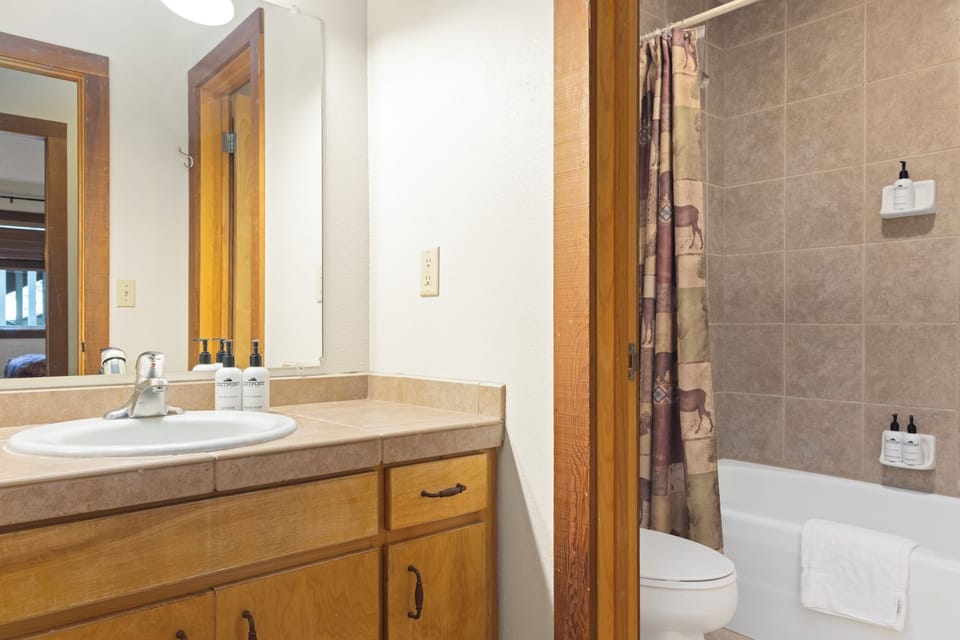 Guest Bathroom