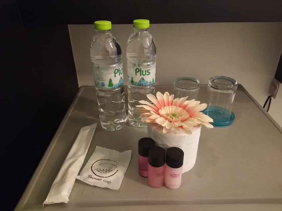 Standard Double Room, 1 Queen Bed | Room amenity