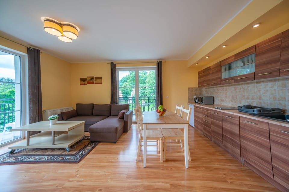 Comfort Apartment, 1 Bedroom, City View | Private kitchen | Fridge, microwave, stovetop, coffee/tea maker