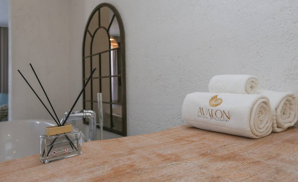 Luxury Suite | Bathroom | Deep soaking tub, hydromassage showerhead, free toiletries, hair dryer